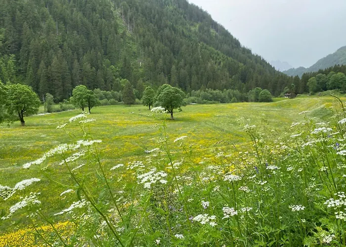 Alpenruh By Interhome Appartamento *